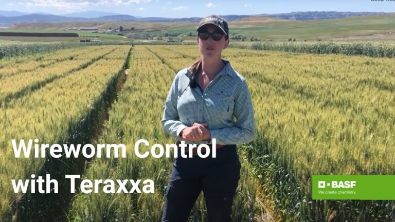 Reddy Anna ID: Unlocking Identity, Community, and Learning Opportunities