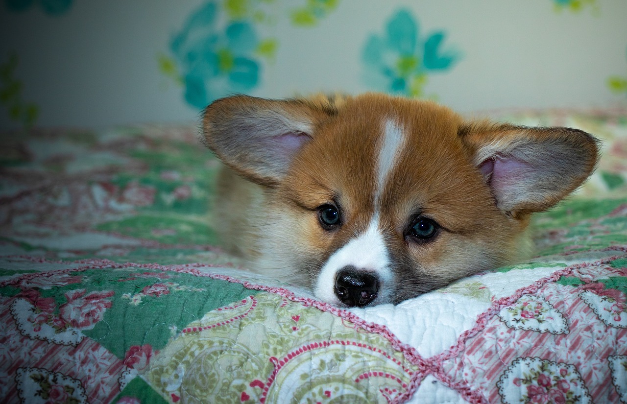 99exch Review: How the Platform Transforms Digital Trading, Learning, and Entertainment